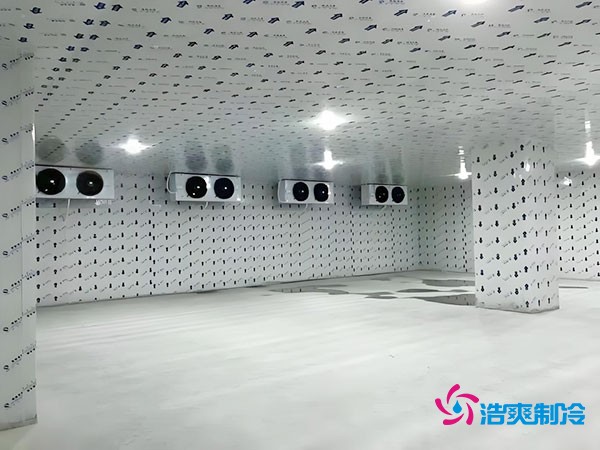 農產(chǎn)品低溫冷庫建造