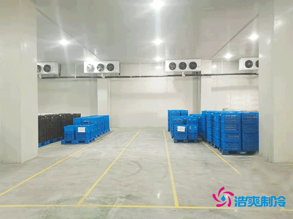 建設一個(gè)海鮮低溫冷庫造價(jià)多少錢(qián)一平方？