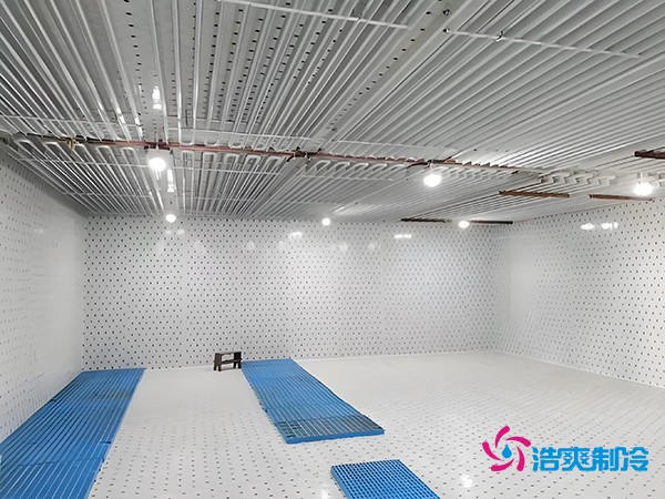 建設一個(gè)海鮮低溫冷庫造價(jià)多少錢(qián)一平方？