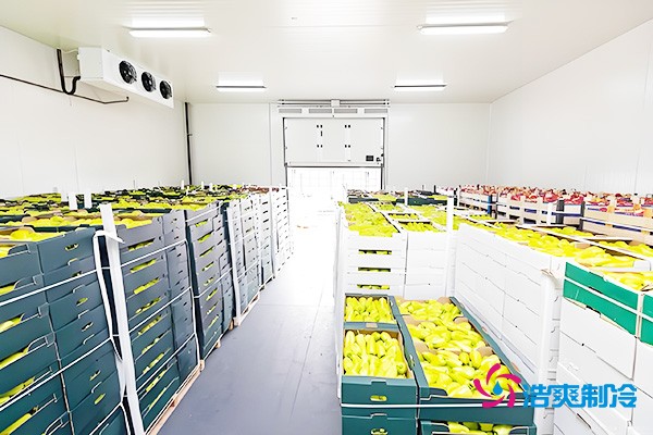 1000噸氣調冷庫造價(jià)