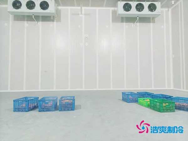 200噸蔬菜保鮮冷庫造價(jià)多少錢(qián)？需要多大面積？
