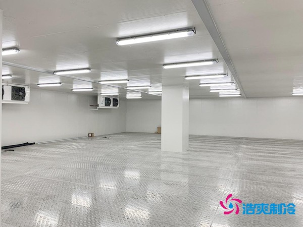 建造200噸冷凍肉低溫冷庫的造價(jià)詳解