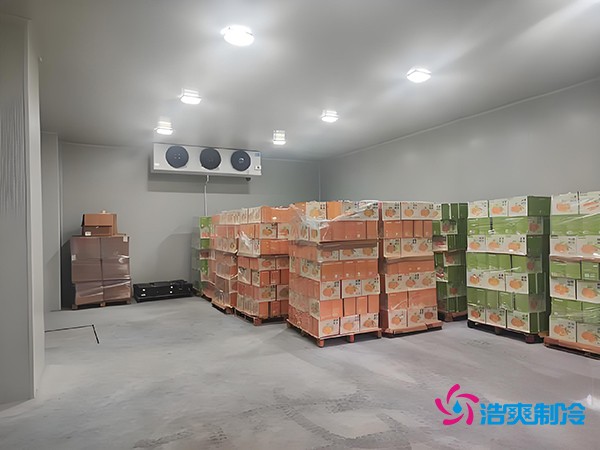 1000噸果蔬保鮮庫造價(jià)揭秘，節省成本就靠這幾點(diǎn)！