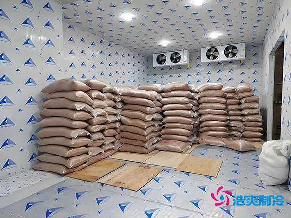 2萬(wàn)起建種子冷庫？這些因素讓造價(jià)翻倍！