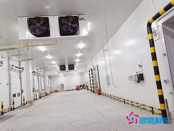 冷庫造價(jià)懸殊？揭秘每平米價(jià)格背后的秘密！