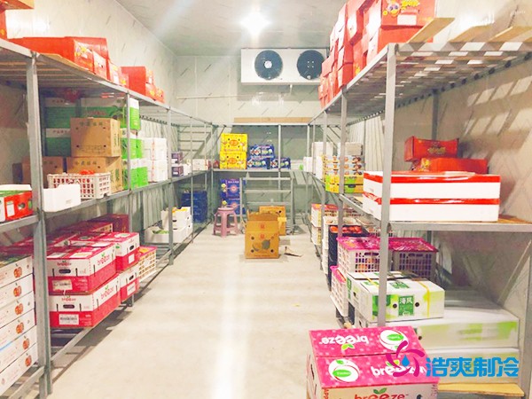 5噸水果需要多大冷庫？答案出乎意料！