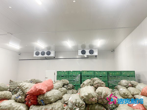 5噸水果需要多大冷庫？答案出乎意料！
