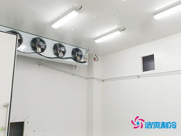 上海小型冷庫造價(jià)揭秘！2萬(wàn)起真的靠譜嗎？