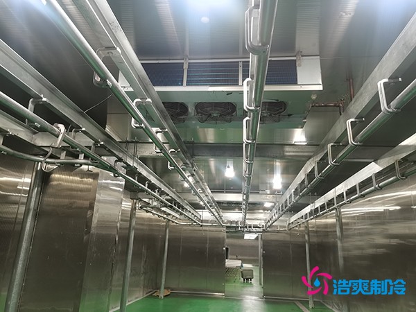 肉類(lèi)冷庫建造費用及設計解析